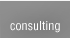 Consulting Services